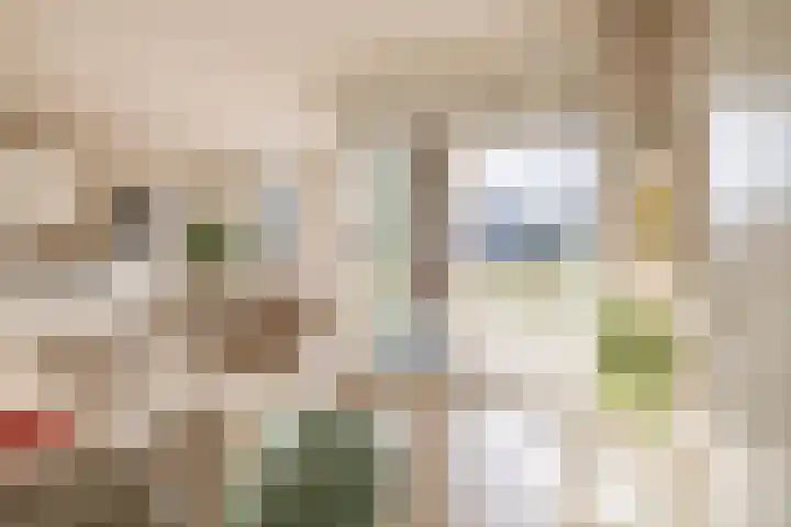 Lagekerk 17 Deurne thumbnail 16