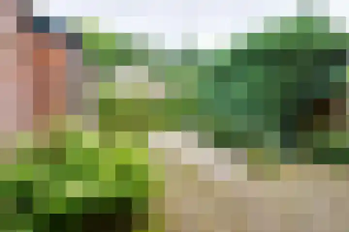 Lagekerk 17 Deurne thumbnail 21