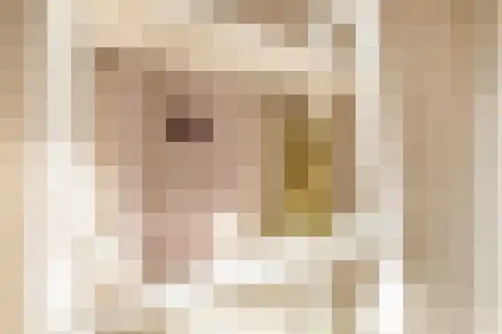 Lagekerk 17 Deurne thumbnail 22