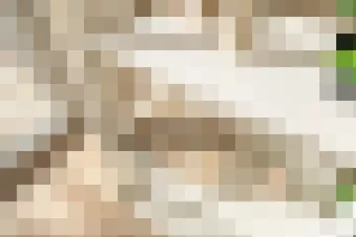 Lagekerk 17 Deurne thumbnail 23