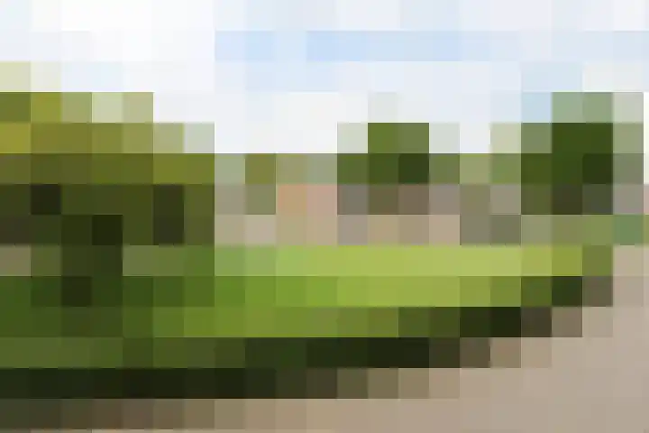 Lagekerk 17 Deurne thumbnail 24