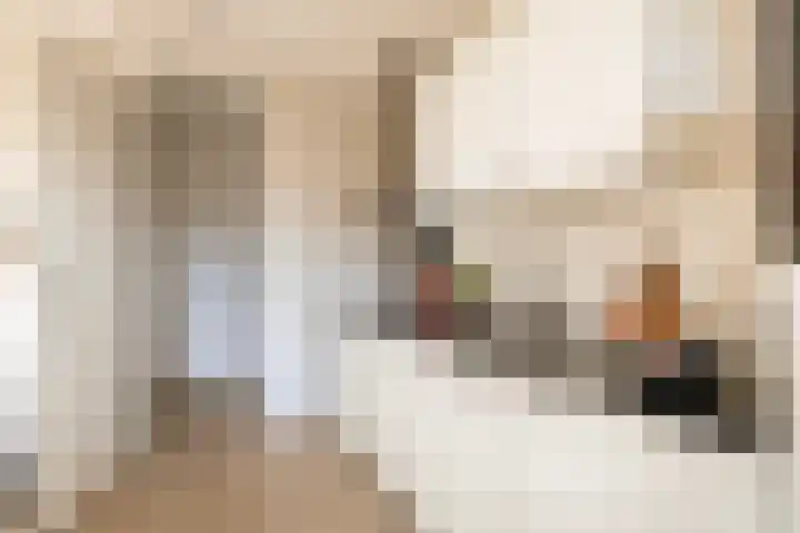 Lagekerk 17 Deurne thumbnail 28