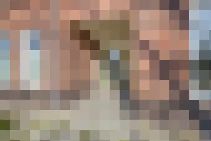 Lagekerk 17 Deurne thumbnail 31