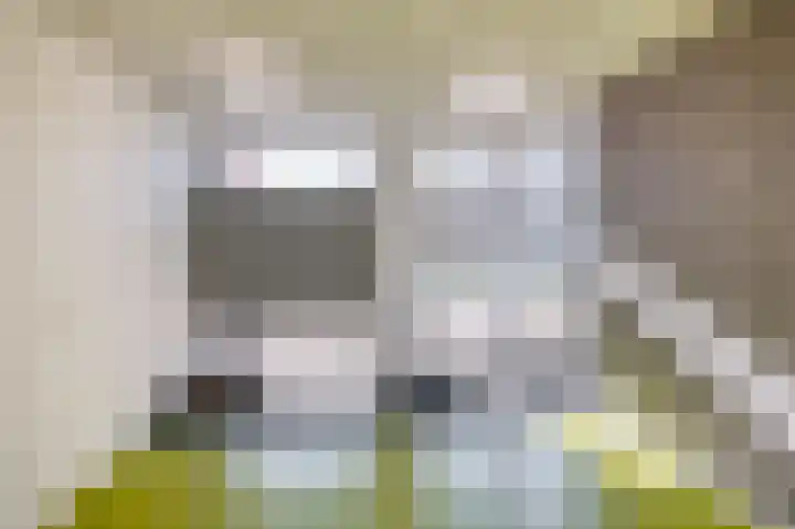 Lagekerk 17 Deurne thumbnail 9