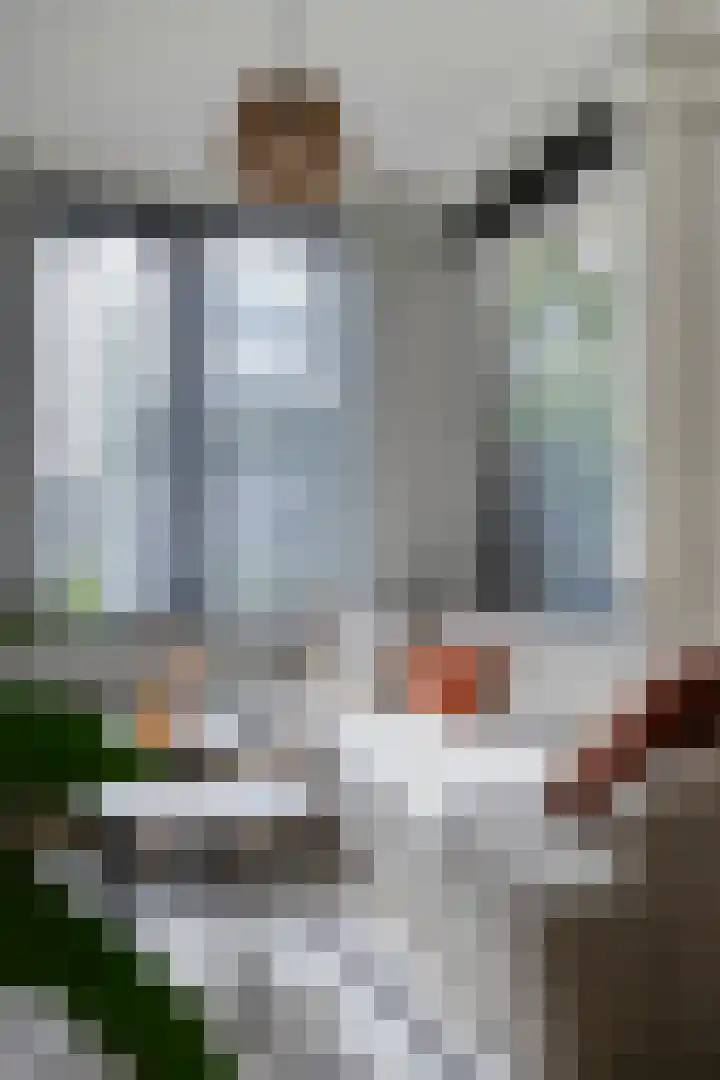 Lagekerk 19 Deurne thumbnail 13