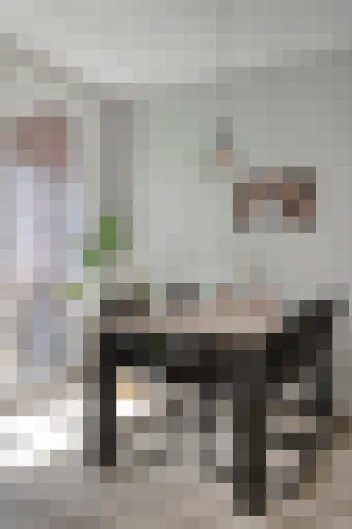 Lagekerk 19 Deurne thumbnail 16