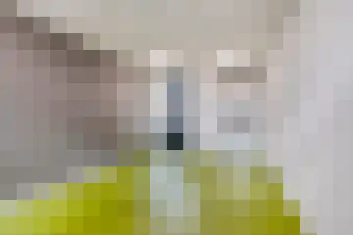 Lagekerk 19 Deurne thumbnail 9