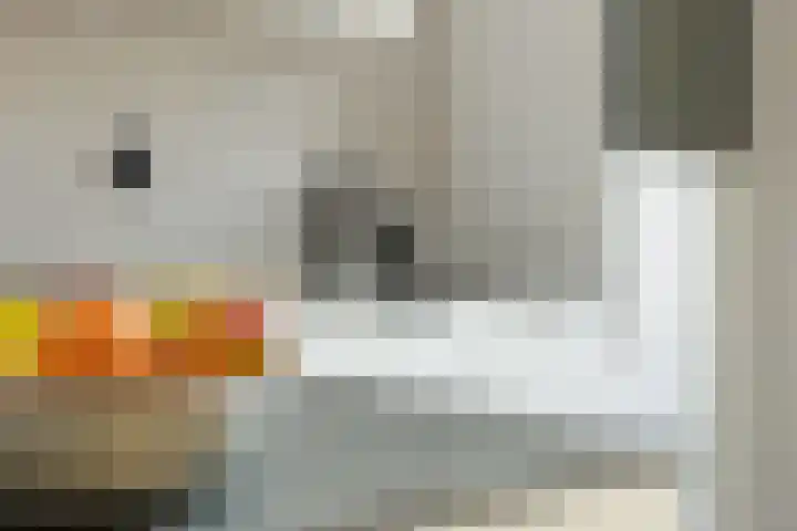 Lagekerk 37 Deurne thumbnail 13