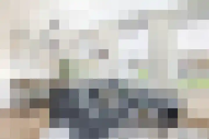 Lagekerk 37 Deurne thumbnail 20