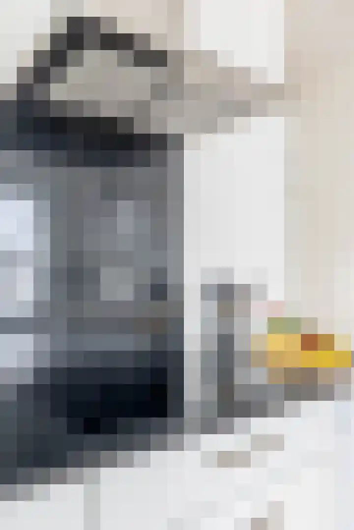 Lagekerk 37 Deurne thumbnail 25