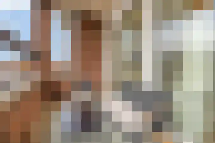 Lagekerk 37 Deurne thumbnail 29