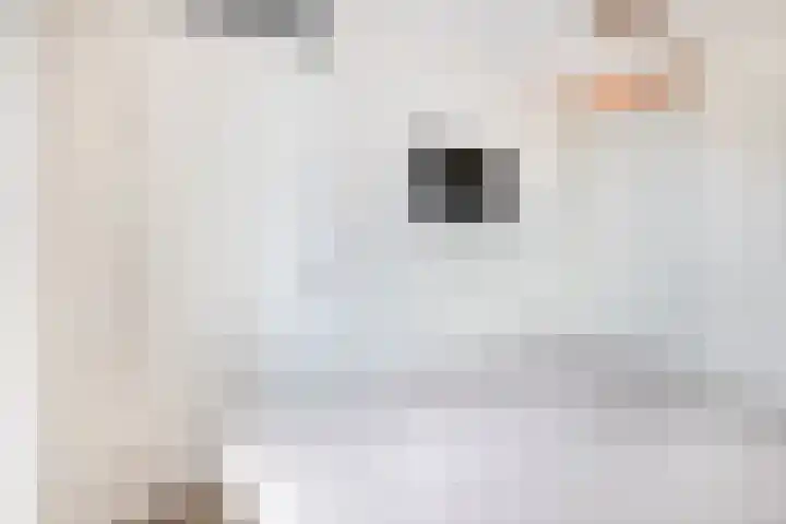 Lagekerk 37 Deurne thumbnail 32