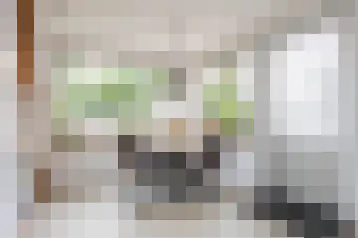 Lagekerk 37 Deurne thumbnail 36
