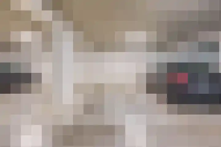 Lagekerk 37 Deurne thumbnail 38