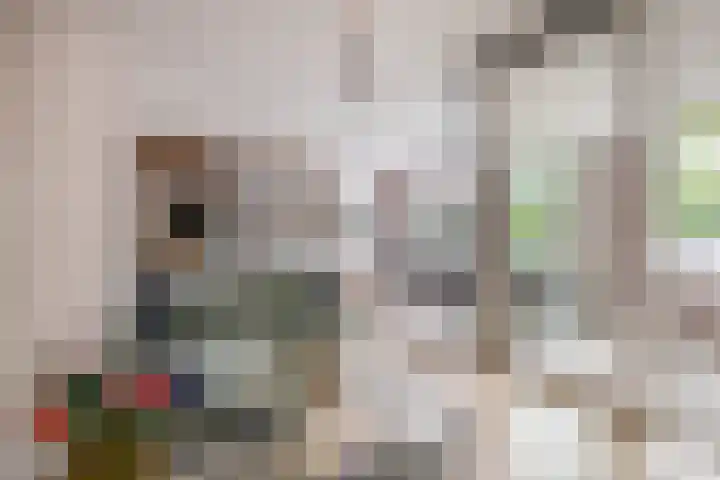 Lagekerk 41 Deurne thumbnail 13