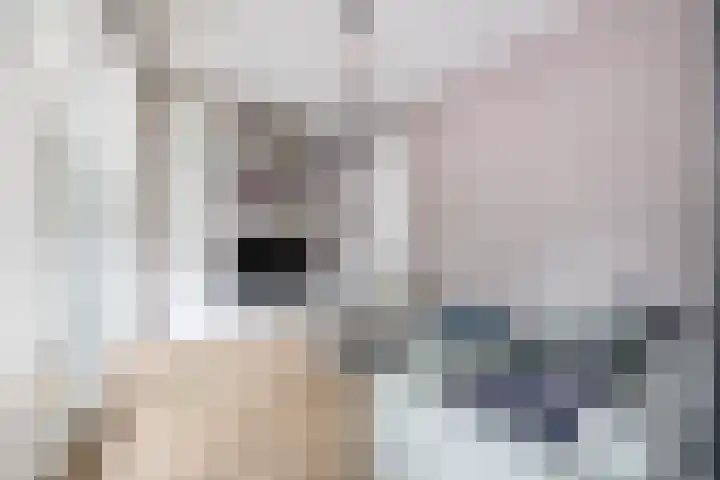 Lagekerk 41 Deurne thumbnail 15