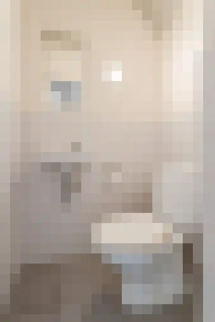 Lagekerk 41 Deurne thumbnail 28