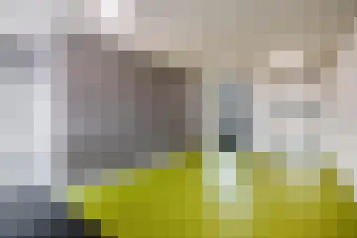 Lagekerk 41 Deurne thumbnail 8