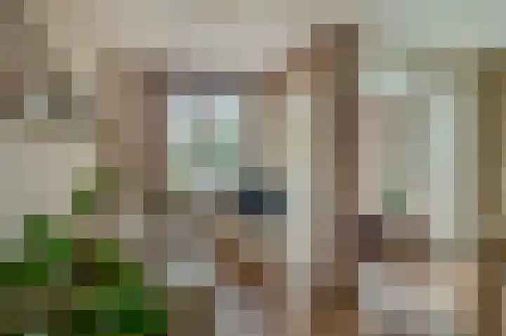 Lagekerk 45 Deurne thumbnail 14