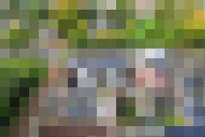 Lagekerk 45 Deurne thumbnail 17