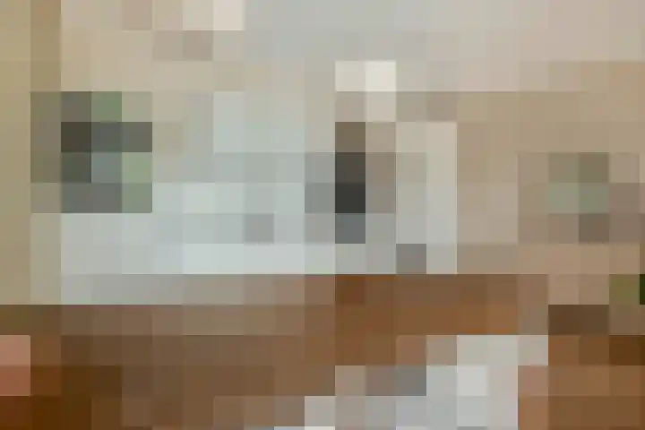 Lagekerk 45 Deurne thumbnail 20
