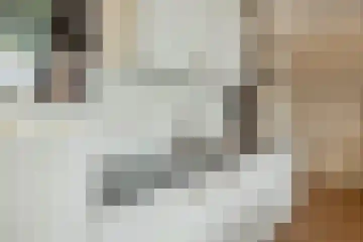 Lagekerk 45 Deurne thumbnail 22