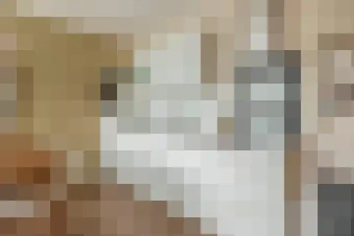 Lagekerk 45 Deurne foto 3