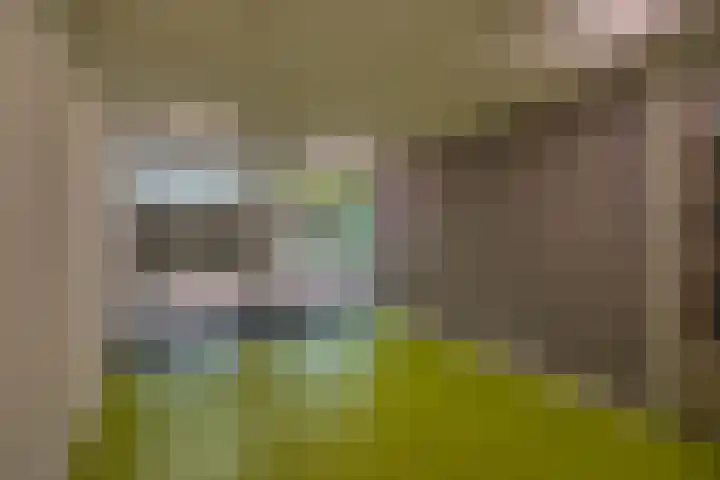 Lagekerk 45 Deurne thumbnail 7