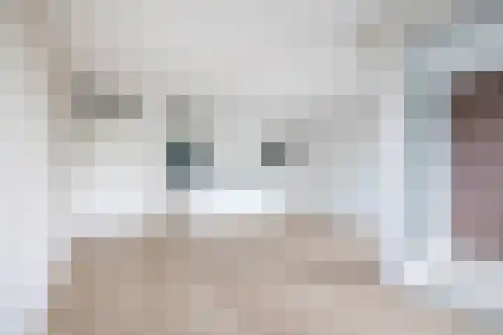 Lagekerk 53 Deurne thumbnail 14