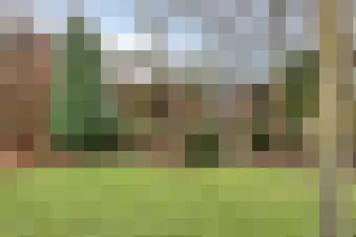 Lagekerk 53 Deurne thumbnail 16