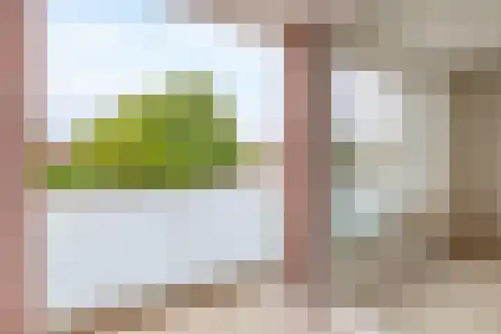 Lagekerk 53 Deurne thumbnail 4