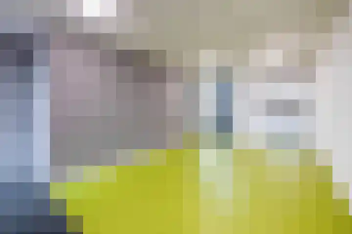 Lagekerk 53 Deurne thumbnail 8