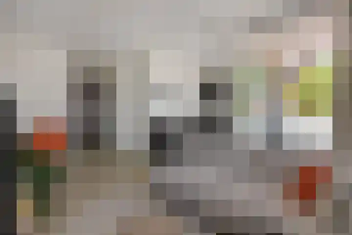 Lagekerk 61 Deurne thumbnail 11