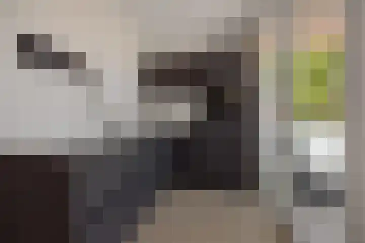 Lagekerk 61 Deurne thumbnail 13