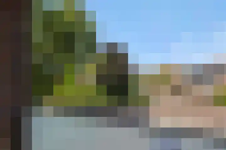 Lagekerk 61 Deurne thumbnail 18