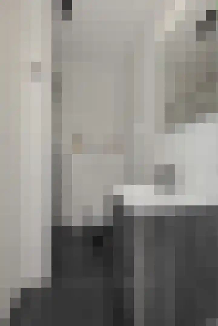 Lagekerk 61 Deurne thumbnail 4