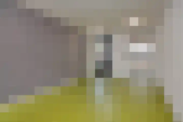 Lagekerk 61 Deurne thumbnail 7