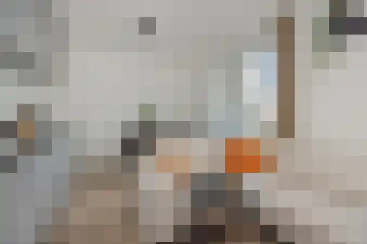 Lagekerk 69 Deurne foto 2