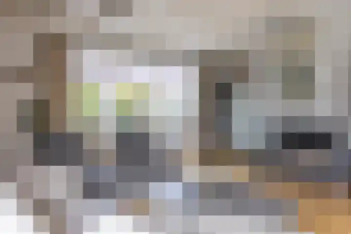 Lagemaat 16 Den Ham thumbnail 14