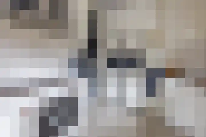 Lagemaat 16 Den Ham thumbnail 18
