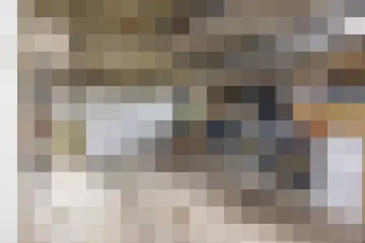 Lagemaat 16 Den Ham thumbnail 30