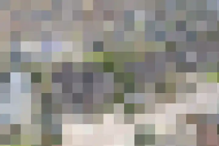 Lagemaat 16 Den Ham thumbnail 4