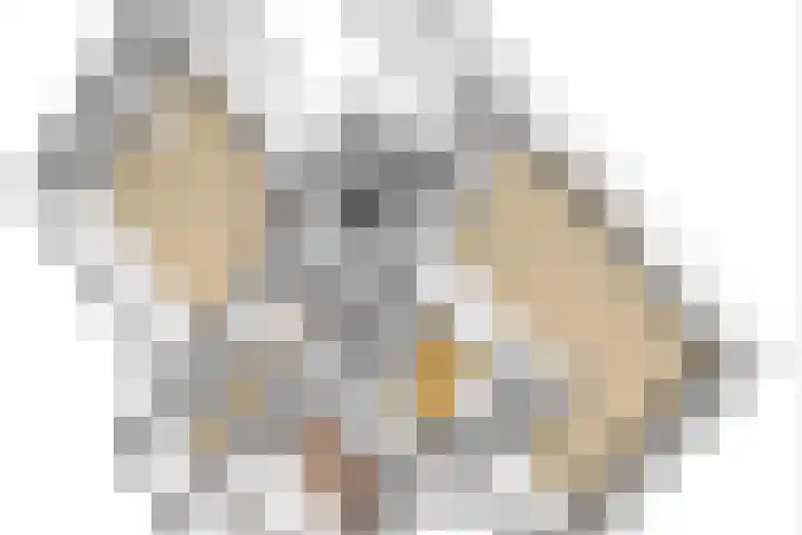 Lagemaat 16 Den Ham thumbnail 53
