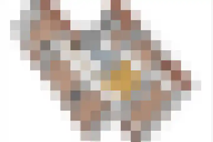 Lagemaat 16 Den Ham thumbnail 55