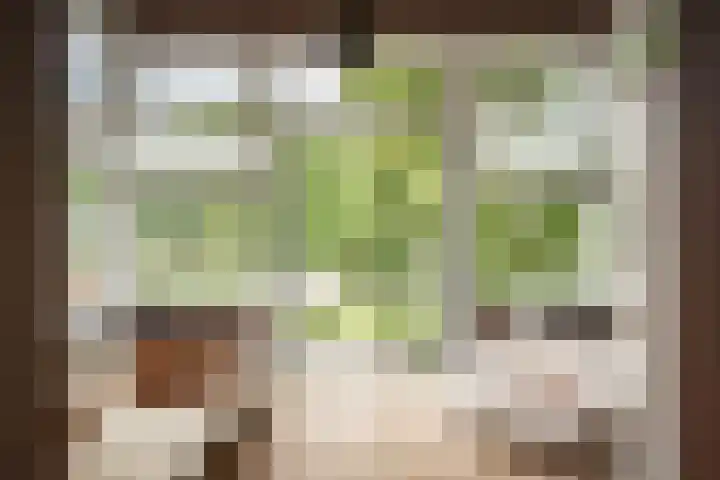 Lagendijk 111 Ridderkerk thumbnail 17