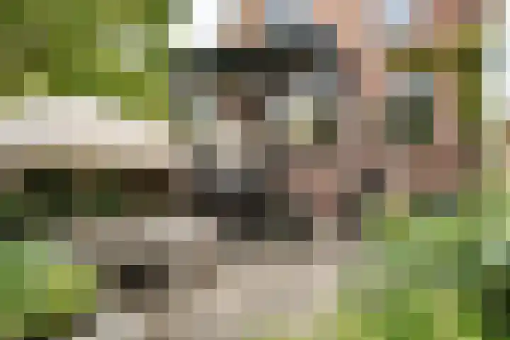 Lagendijk 111 Ridderkerk thumbnail 19