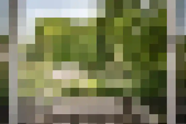 Lagendijk 111 Ridderkerk thumbnail 20