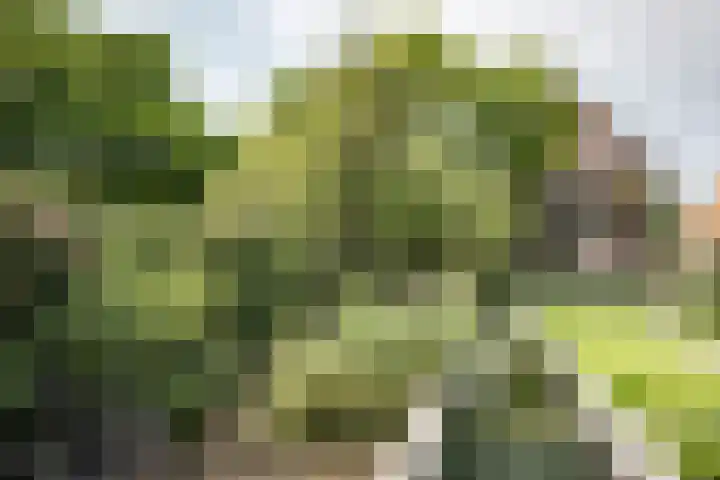 Lagendijk 111 Ridderkerk thumbnail 27