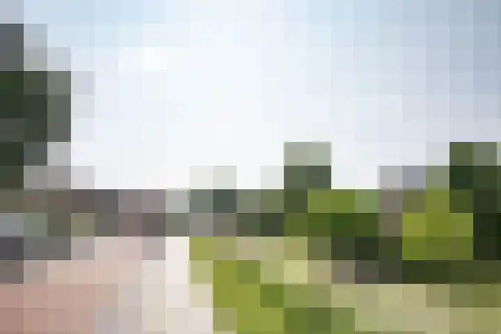 Lagendijk 111 Ridderkerk thumbnail 55