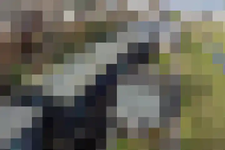 Lagendijk 25 Uitgeest